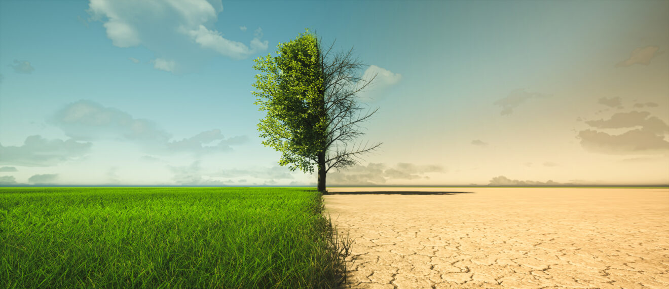 Calamidades climáticas: aprender custa menos do que reconstruir (Quesado, Afonso, Damasceno)